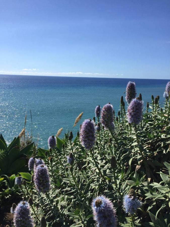 Calheta Ocean View Apartment 2 - Air Condition Estreito Da Calheta Εξωτερικό φωτογραφία